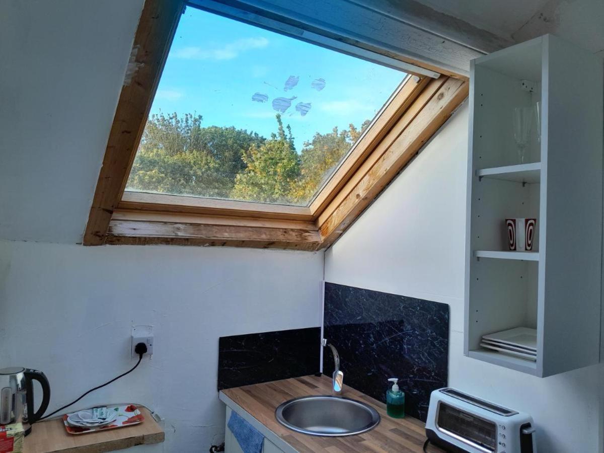 Loft Singleton *